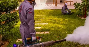 شركة رش الحشرات بالخرج