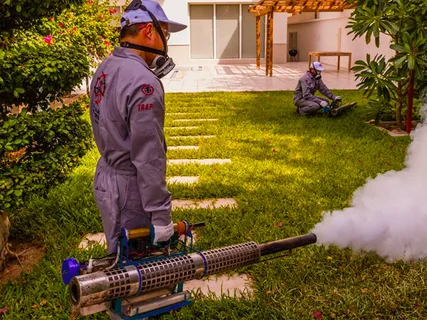 شركة رش الحشرات بالخرج
