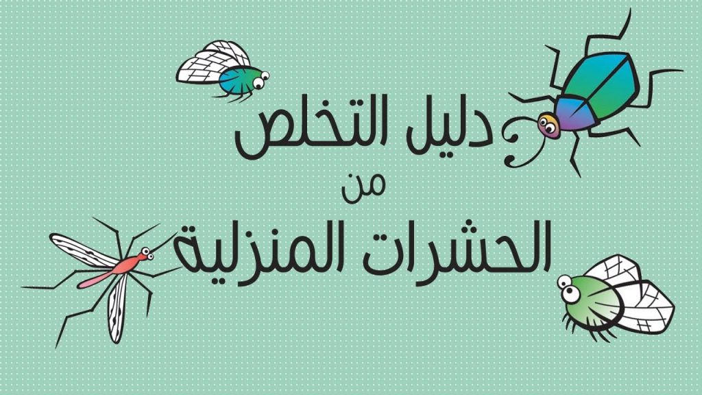 أسباب انتشار الحشرات المنزلية وكيفية الوقاية منها 0561469716