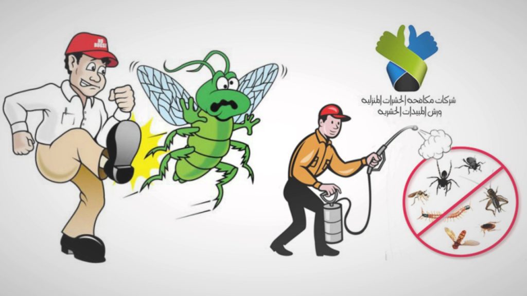 شركة مكافحة النمل الأبيض بالدلم