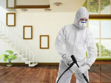 مكافحة النمل الأبيض بالخرج